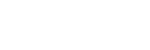 SpinningBegleri